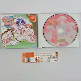 Dreamcast CANDY STRIPE Spine * Sega dc