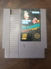 Ice Climber (Nintendo Entertainment System, 1985) 5 Screws
