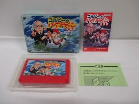 NES - Gorby no Pipeline Daisakusen - popular puzzle. Box. Famicom, JAPAN. 10886
