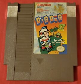 Dig Dug 2: Trouble in Paradise (NES, NAMCO, 1989) - Authentic, Cleaned, Tested!