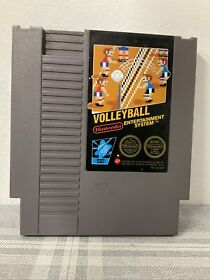 Solo carro de voleibol Nintendo NES