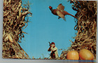 Vintage Postcard Hunter Shooting A Pheasant Fall Pumpkins Corn