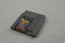 Dragon's Lair NES Spiel #791