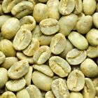 Colombian Supremo Coffee Green Bean / Unroasted/ Raw Whole Bean 5 Pounds