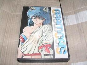  MSX2 Gram Cats Theory 2 Disks With Box Dot Planning  MSX Japan JP