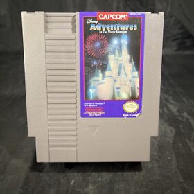 Disney Adventures in the Magic Kingdom (NES, 1990) Cart Only