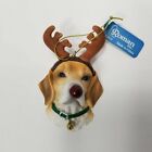 Beagle Xmas Ornament Dog Puppy Red Nose Antlers Lights Up Deer Reindeer Gift