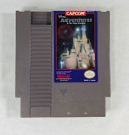 Disney Adventures in Magic Kingdom NES Nintendo Cartridge Tested