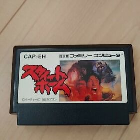 Sweet Home Famicom NES Japan Nintendo CAPCOM Retro games Juzo Itami Very good