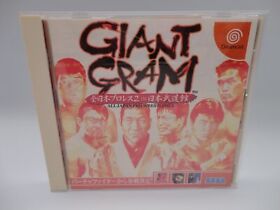 GIANT GRAM ALL JAPAN PRO WRESTLING 2 Dreamcast SEGA 1999 Vintage
