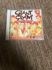 Giant Gram Dreamcast Japanese Import All Pro Wrestling 2 Japan JP US Seller