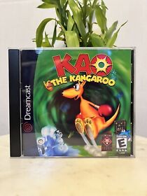 Kao the Kangaroo (Sega Dreamcast, 2001) No Manual Reman Case, Disk is Excellent!