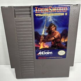 IronSword: Wizards & Warriors II Nintendo Entertainment System TESTED V1
