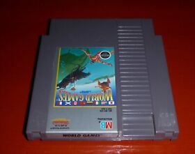 World Games (Nintendo Entertainment System, 1989 NES)-Cart Only
