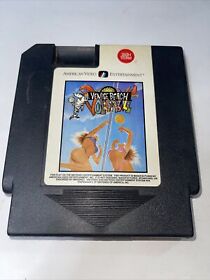 Vintage Venice Beach Volleyball game Cartridge for Nintendo NES Video Game