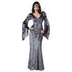 Medieval Costume Adult Renaissance Maiden Halloween Fancy Dress