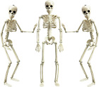 XONOR 16” Posable Halloween Skeleton- Full Body Halloween Skeleton with Movable