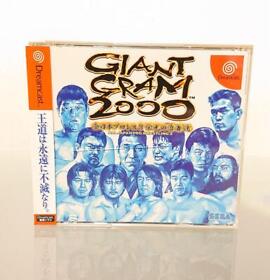 Dreamcast Giant Gram 2000