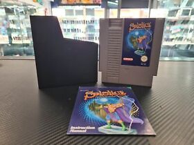 Solstice The Quest For The Staff Of Demon NES Cart, Manual, Sleve Only