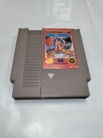 TAG TEAM WRESTLING - Nintendo (Authentic) NES Game, Tested & Working