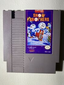 RARO Cartucho Snow Brothers Original Nintendo NES solo Probado Auténtico