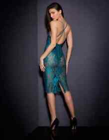 Rare Agent Provocateur Lace Rosette Dress Size BNWT 2