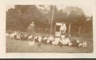 1920s Lots & Lots of Chickens Mom Son Feed Buckets Coop Smiling Laughing Photo