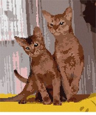 Abyssinian Needlepoint Canvas (Cat/Animal)