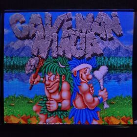 Caveman Ninja - JAMMA Arcade PCB (Toaplan) 100% Working& Unofficial