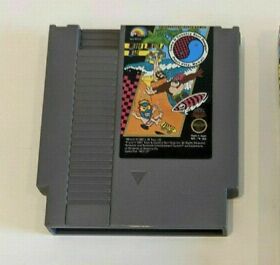 Town & Country Surf Designs T&C TC Wood Water Rage Nintendo NES WORKS 1987 #5152