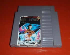 Winter Games (Nintendo Entertainment System, 1987 NES)-Cart Only 
