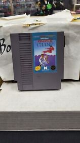 KARATE CHAMP NINTENDO NES VIDEO GAME NO BOX OR MANUAL AUTHENTIC 5 SCREW