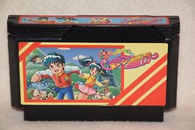 Erika to Satoru no Yume Bouken Famicom FC NES Japan Import US Seller! Namcot