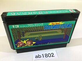 ab1802 Tag Team Pro Wrestling NES Famicom Japan
