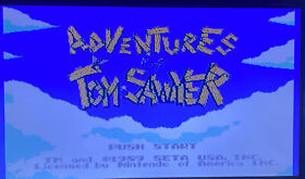 Adventures of Tom Sawyer GAME ONLY NINTENDO NES TESTED/CLEANED/WORKING
