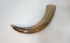 Water Buffalo Medieval - Pirate - Viking Drinking Horn average  13 inch (HR100-1