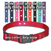 fence underground collar replacement dog compatible nylon sportdog petsafe