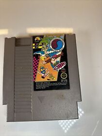 T&C Surf Designs Wood and Water Rage - NES Game Cart Only Nintendo Working