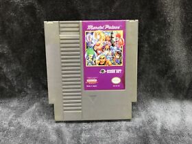 MENDEL PALACE for the NES CLEANED, TESTED, & AUTHENTIC!