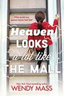 Heaven Looks a Lot Like the Mall by Mass, Wendy Paperback / softback Book The