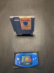 Faxanadu (Nintendo Entertainment System, 1989) NES