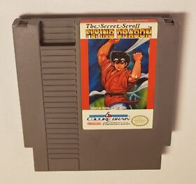 Flying Dragon: The Secret Scroll (NES, 1989) authentic & tested