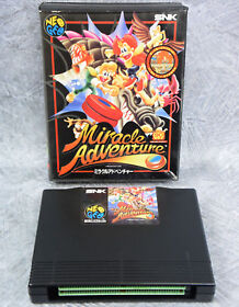 MIRACLE ADVENTURE NEO GEO AES No Instruction FREE SHIPPING SNK 0684