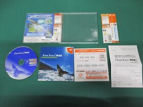 SEGA Dreamcast -- FISH EYES Wild -- Spine card. DC. JAPAN. GAME. Work. 32728
