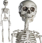 30” Halloween Skeleton for Halloween Décor & Day of the Dead Décor - 2.5 Ft Full