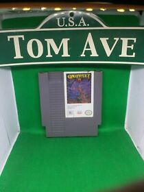 Gauntlet II 2 (Nintendo Entertainment System NES) Cart Only GREAT Shape