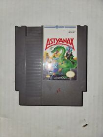 Astyanax NES (Nintendo Entertainment System, 1990) Cartridge Only Tested Working