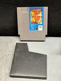 Indiana Jones & The Temple of Doom Nintendo NES - Cart Only - TESTED & WORKING!