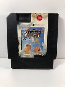 Venice Beach Volleyball -- NES Nintendo Original Classic Authentic Game TESTED 