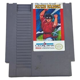Flying Dragon Nintendo Entertainment System NES Game Cart Only